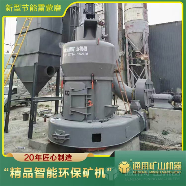 新型节能雷蒙磨