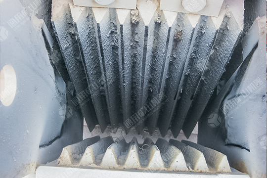 颚破内部构造 颚破内部构造